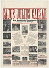 Cayo Julio César